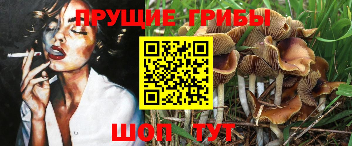 Саратов  Галлюциногенные грибы мухоморы  Вход с VPN  Галлюциногенные грибы MAGIC MUSHROOMS 