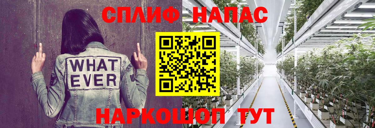 Бошки Шишки гибрид Саратов
